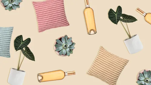 Check out all our blogs!