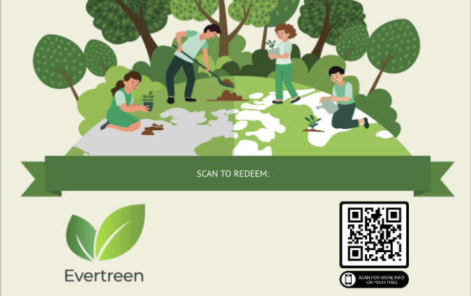 Evertreen 