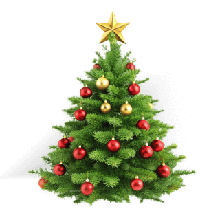 Christmas Gift Vouchers 