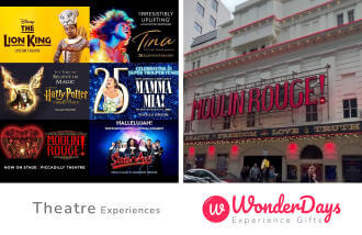 Theatre Experience by WonderDays voucher